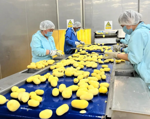 福滿興食品廠正式投產(chǎn) 匠心鑄就安全美味的食品新未來(lái)